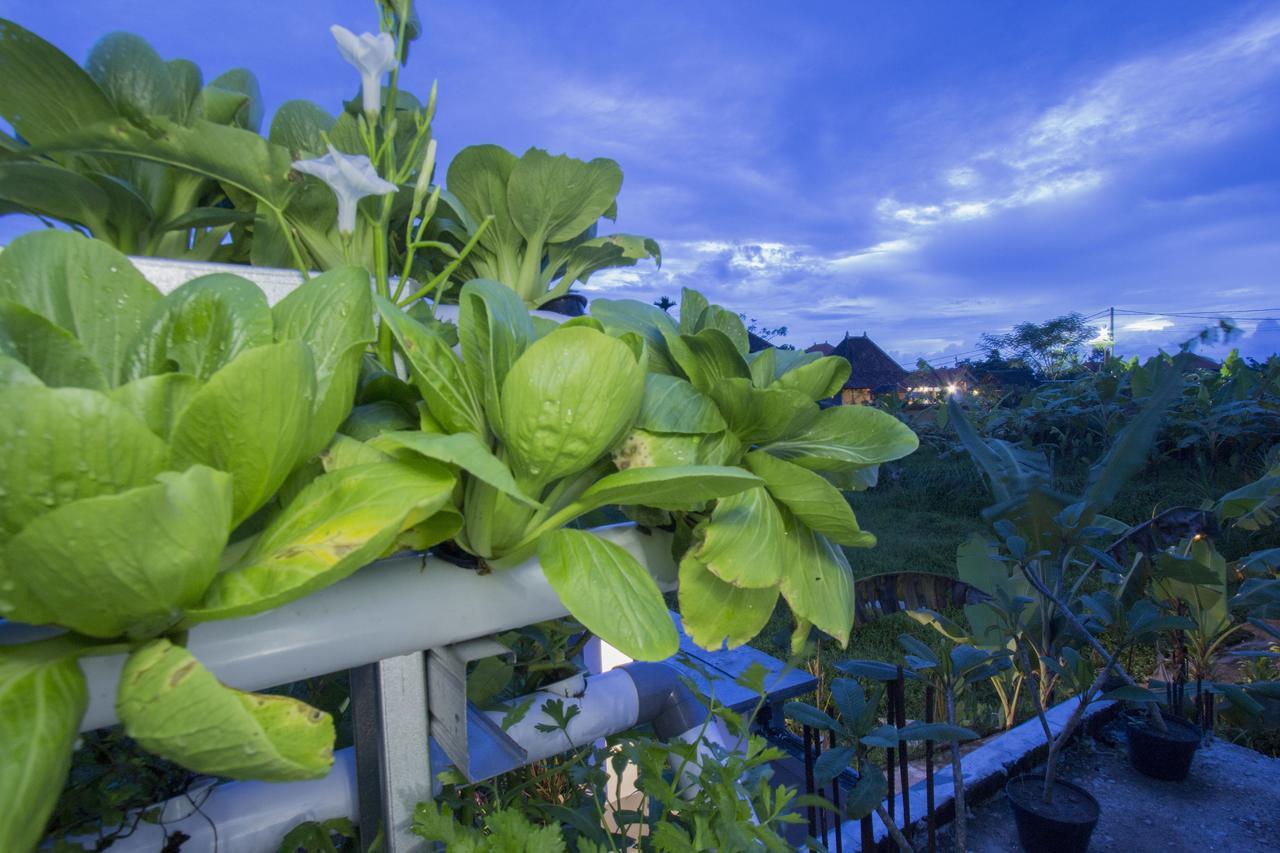 Vinayaka Ubud المظهر الخارجي الصورة