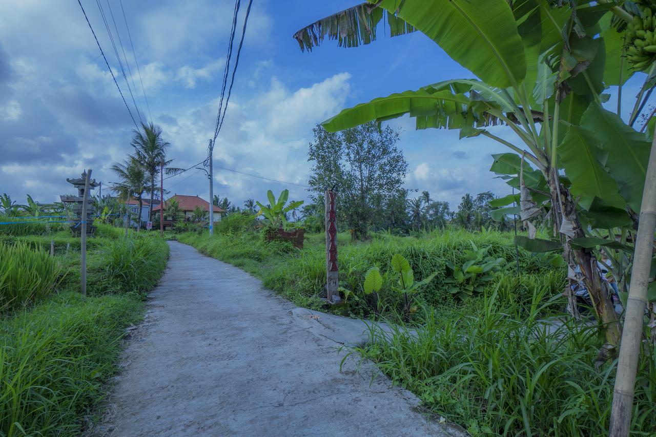 Vinayaka Ubud المظهر الخارجي الصورة