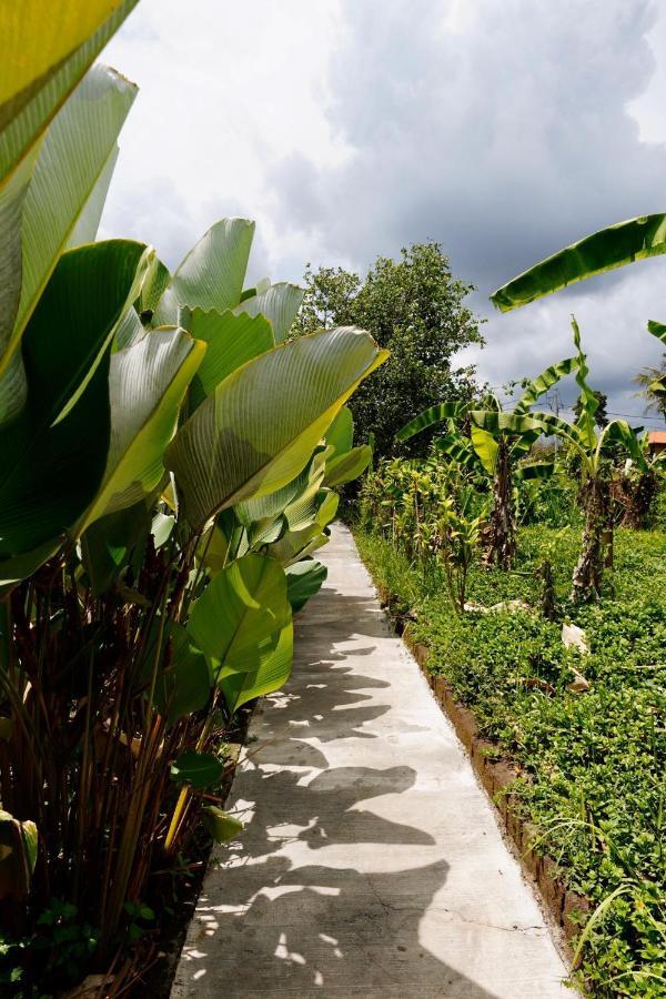 Vinayaka Ubud المظهر الخارجي الصورة